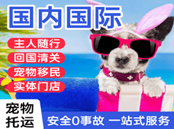 且末玉都航空快运国际宠物托运 【国